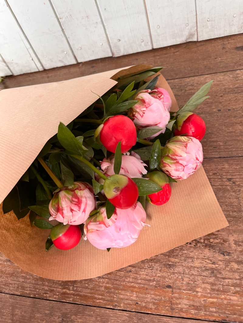 Peonies