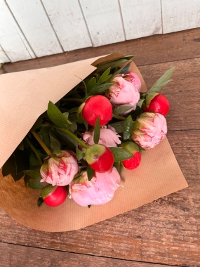 Peonies