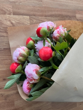 Peonies